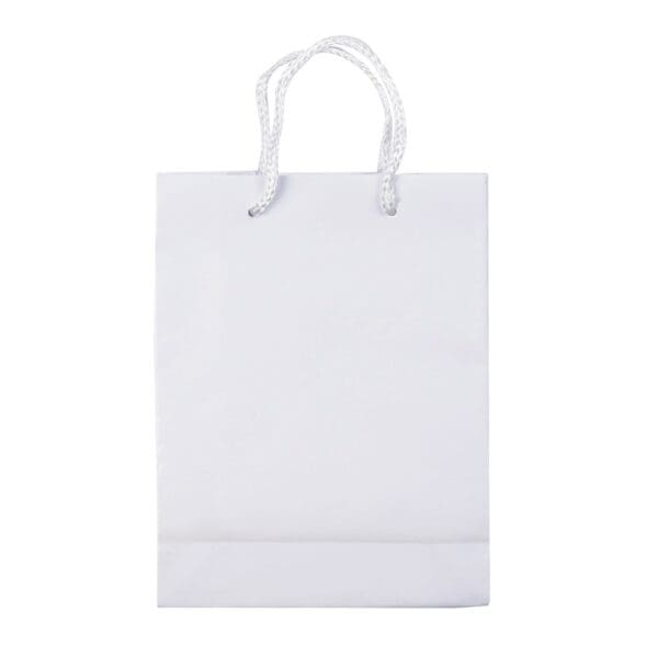 Laminierte Papiertasche, klein