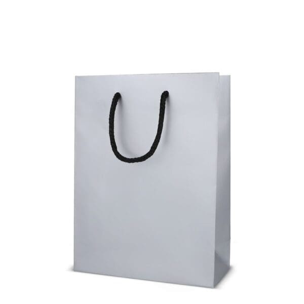 Papier Geschenktasche 18 x 8 x 24cm 200g/m²