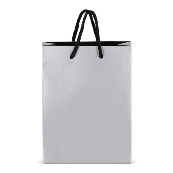 Papier Geschenktasche 18 x 8 x 24cm 200g/m²