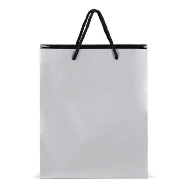 Papier Geschenktasche 24 x 10 x 30cm 200g/m²