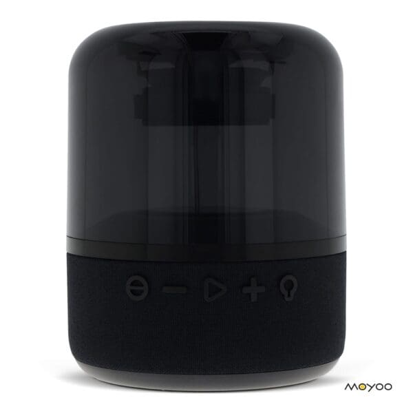 SP101 | Moyoo Smokey Dome speaker