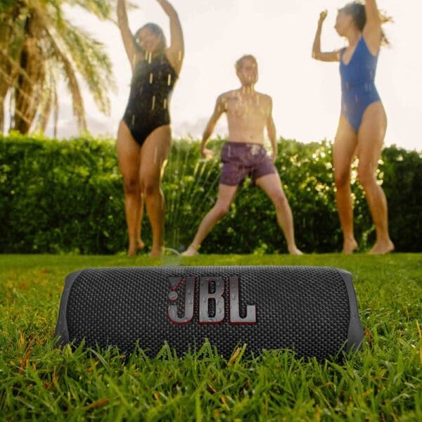 JBL Flip 6