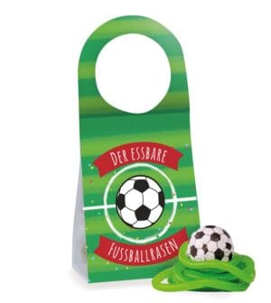 Türanhänger Fußballrasen