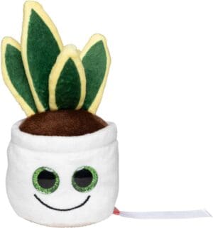 Schmoozies® Evergreenies® Schlangenpflanze
