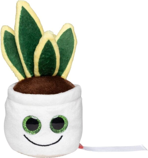 Schmoozies® Evergreenies® Schlangenpflanze