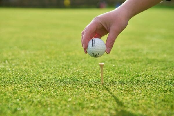 Golf Tees aus Holz