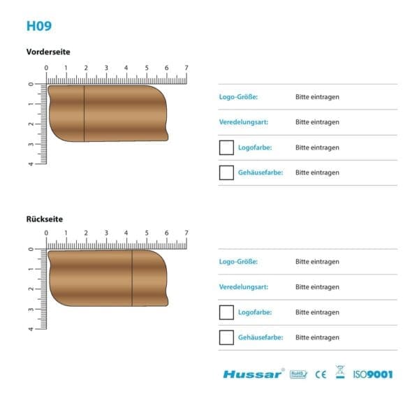USB-Stick H09