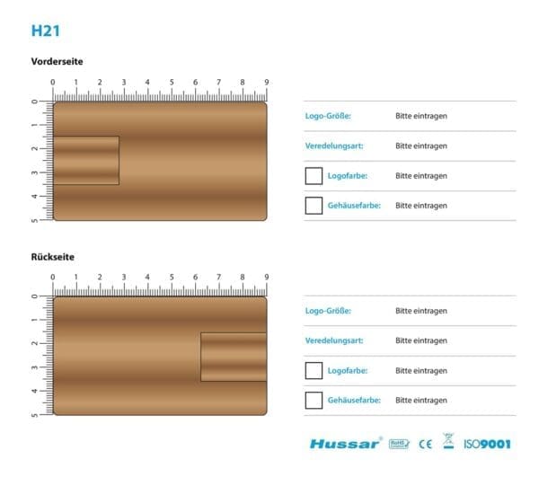 USB-Stick H21