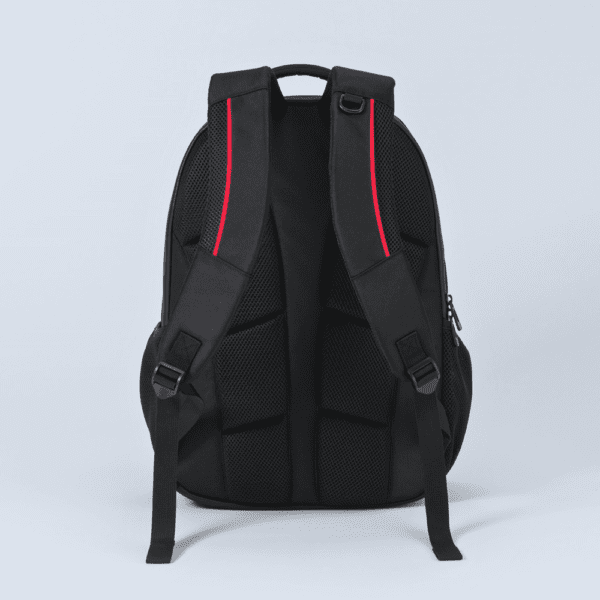 BUSINESS-RUCKSACK DYNAMIC MIT ZWEI FÄCHERN