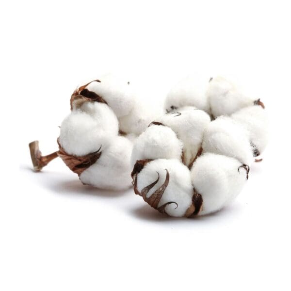 ROMOSCENT® Raumduft Golden Cotton