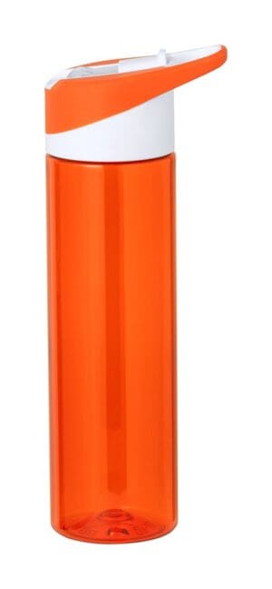 Trinkflasche Jelenk - RPET